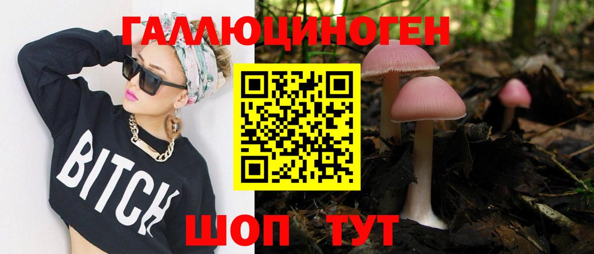 Псилоцибиновые грибы мухоморы Волхов