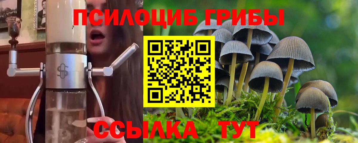 Галлюциногенные грибы ЛСД  Вход с VPN  Галлюциногенные грибы мухоморы  Волхов 